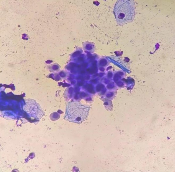 FIGURE 4