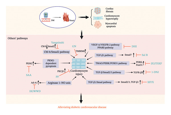 FIGURE 6