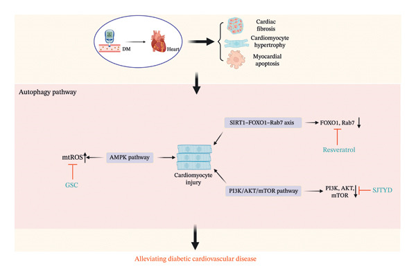 FIGURE 4