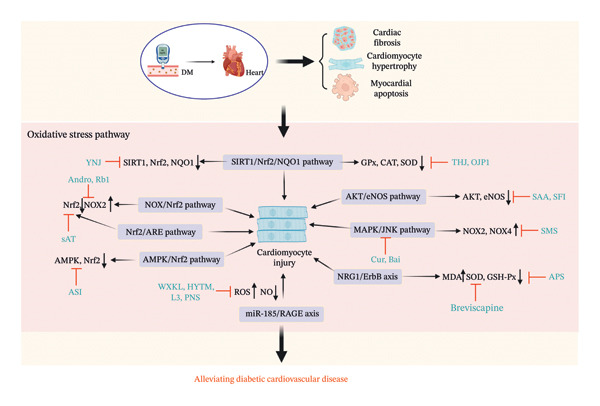 FIGURE 3