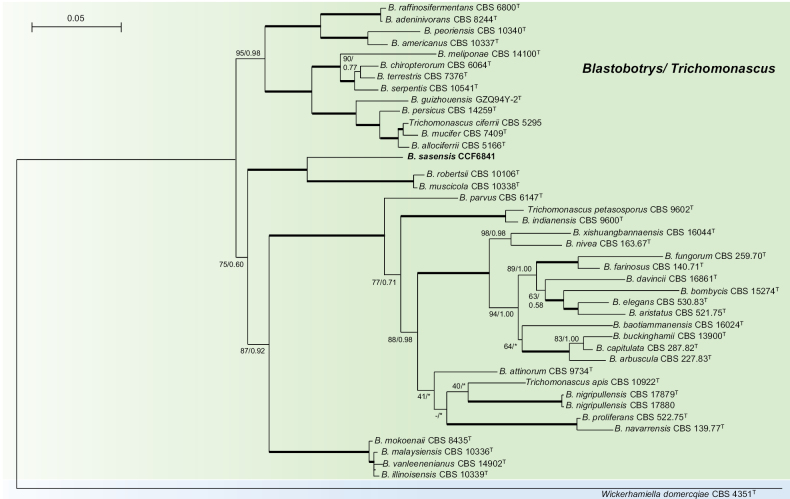 Figure 5