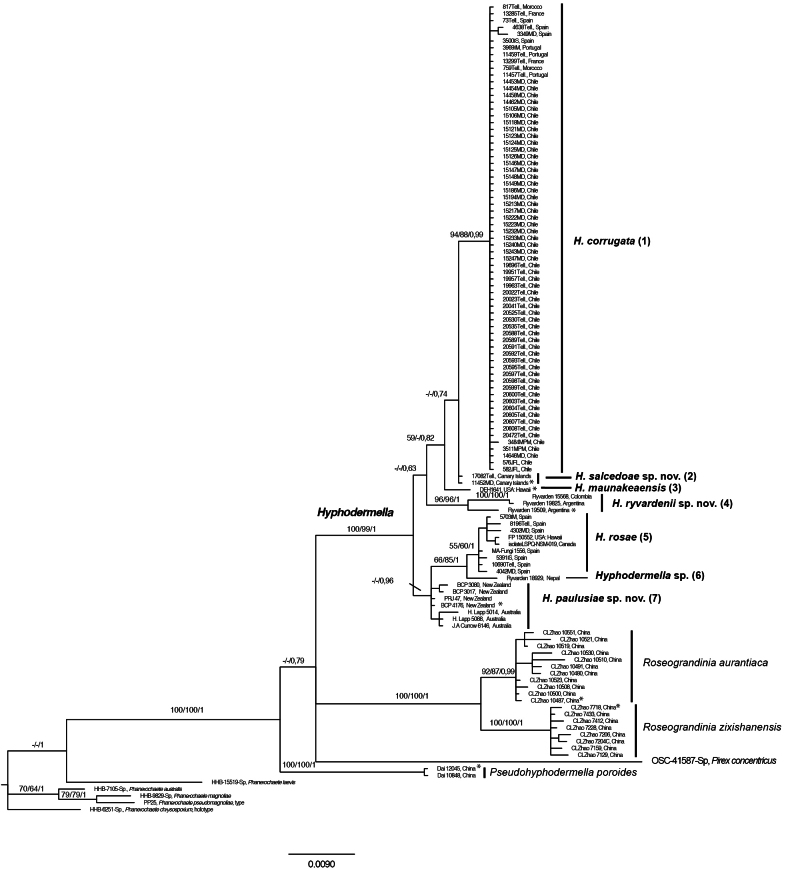 Figure 2