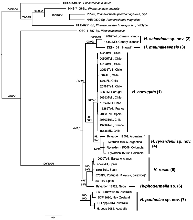 Figure 4