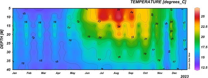FIGURE 10