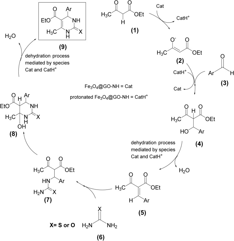 Scheme 4