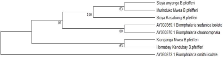 Figure 4