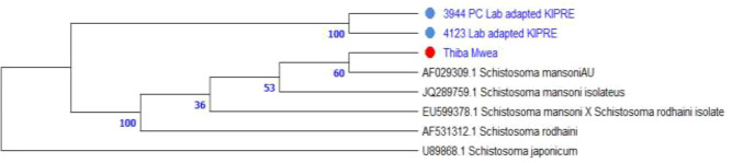 Figure 5