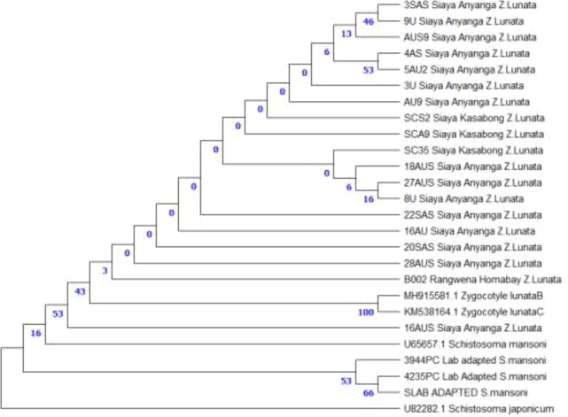 Figure 6