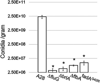FIGURE 3