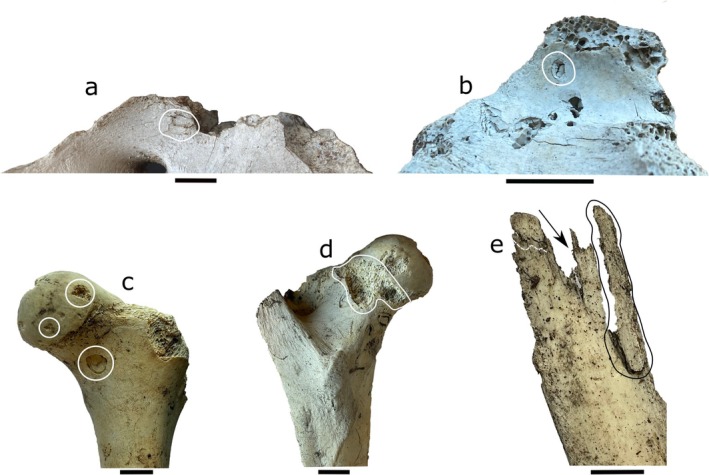 FIGURE 2