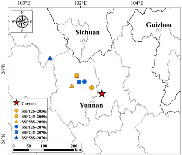 FIGURE 11