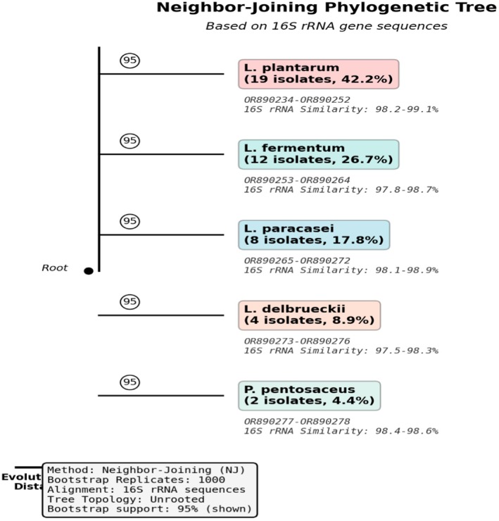 FIGURE 3