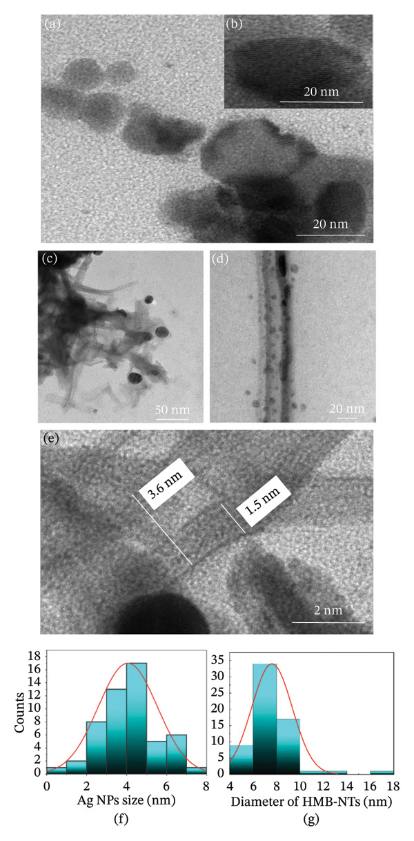 FIGURE 2