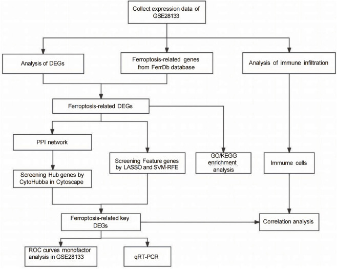 FIGURE 1
