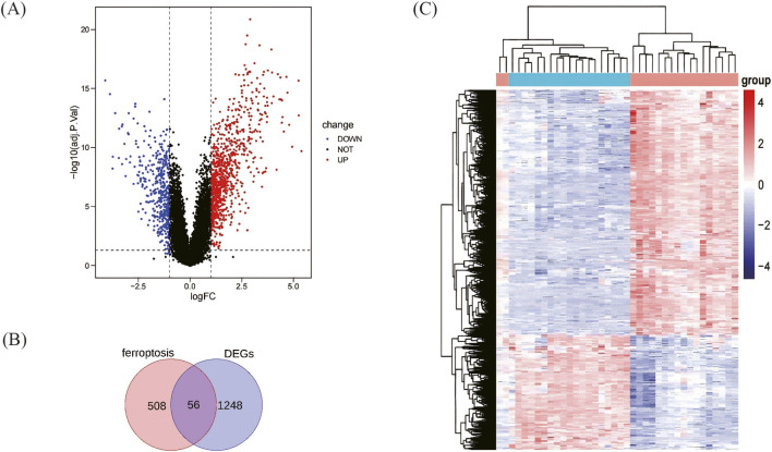 FIGURE 2
