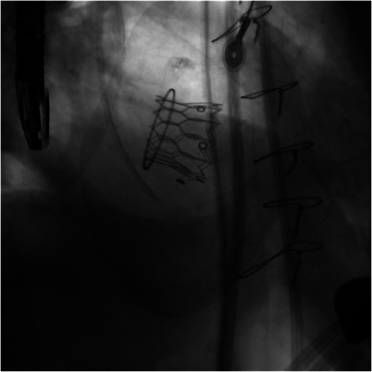 Figure 6