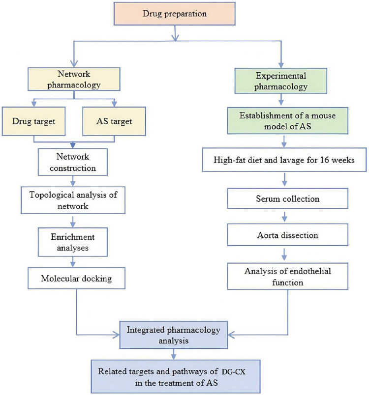 Figure 1