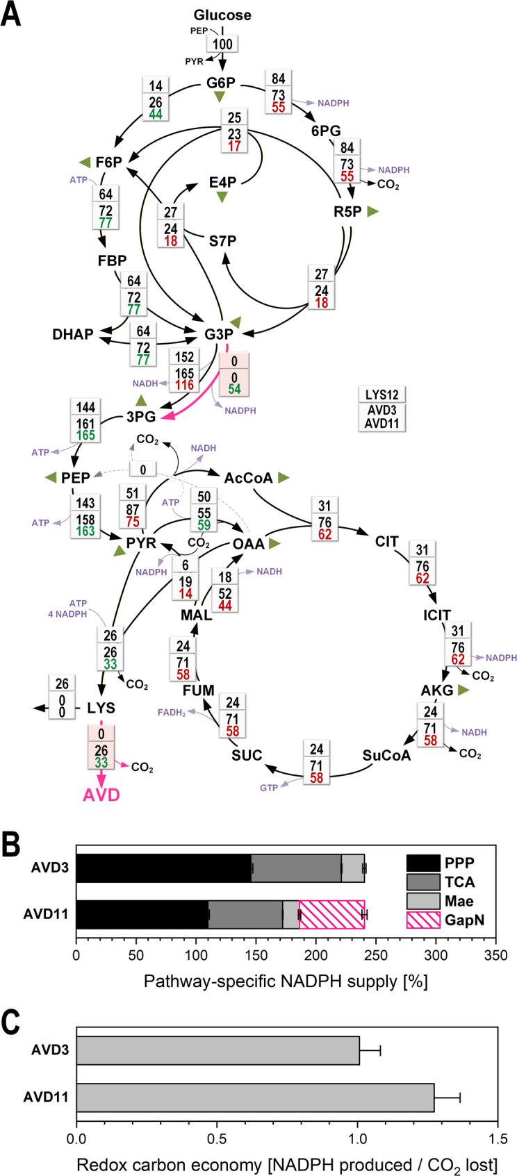 Figure 7