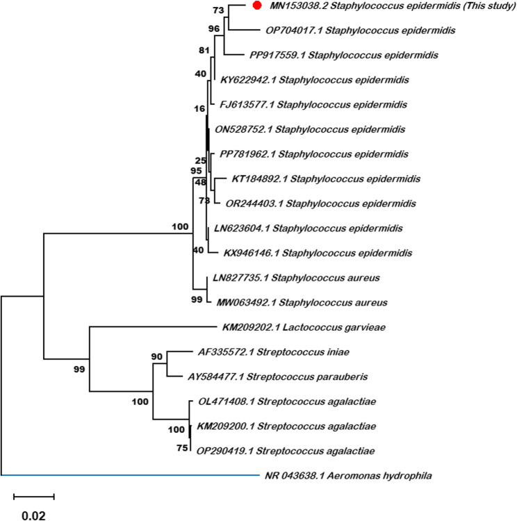 Figure 4