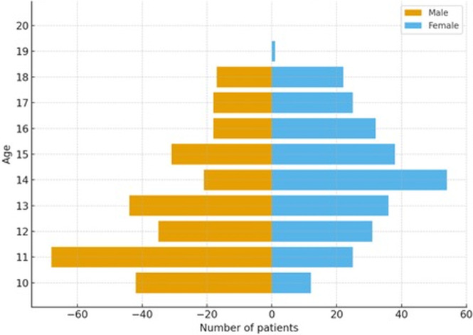 Figure 1