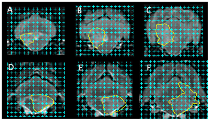 Figure 6
