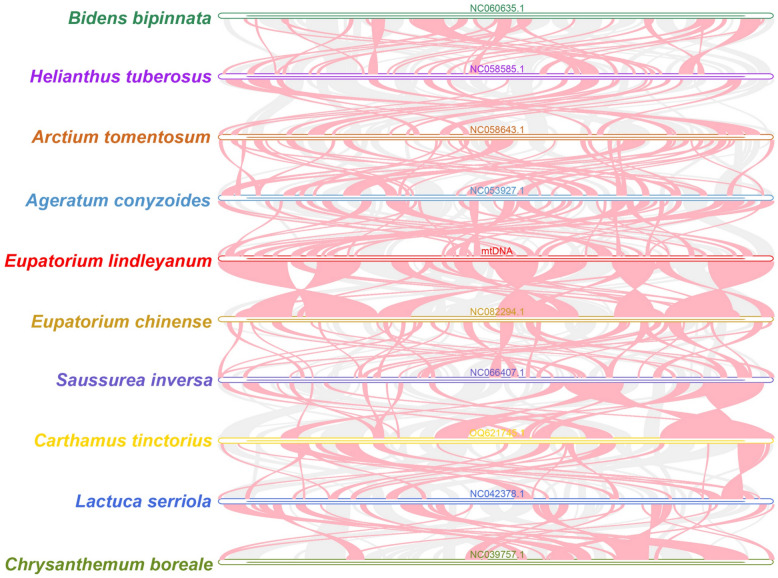 Figure 10