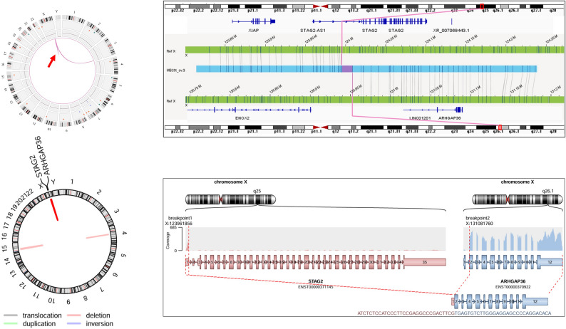 Figure 6