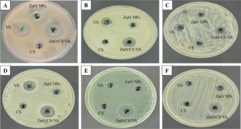 Figure 10