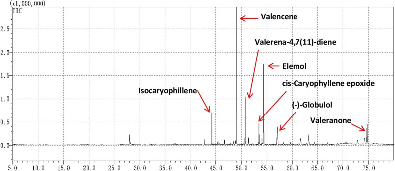 Figure 7