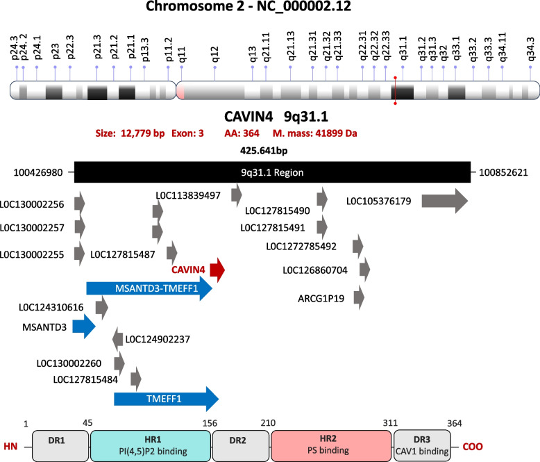 Figure 10