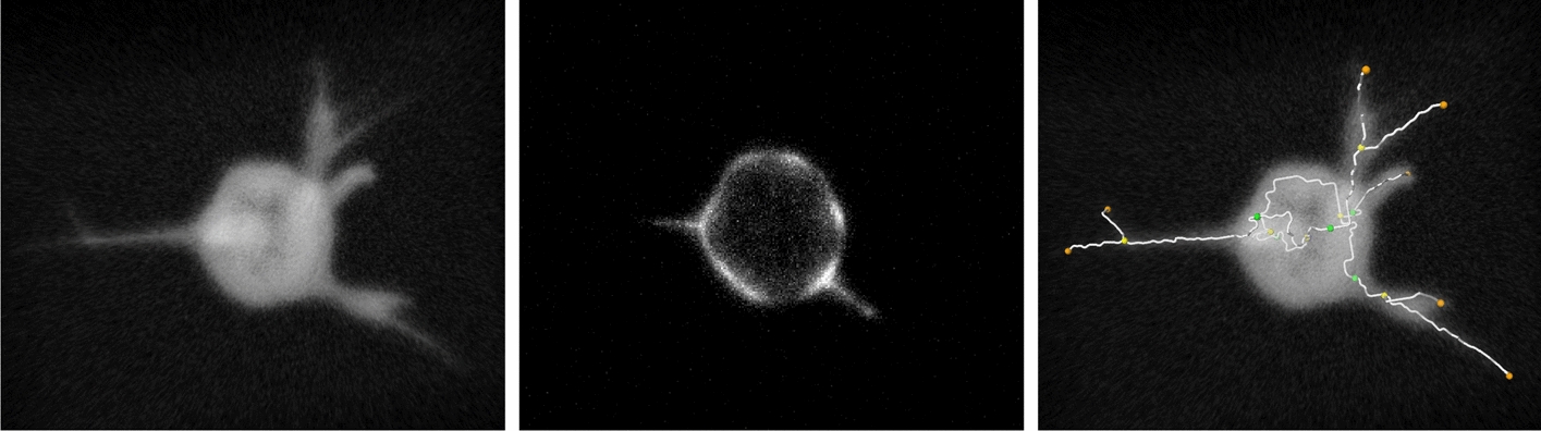 Figure 11