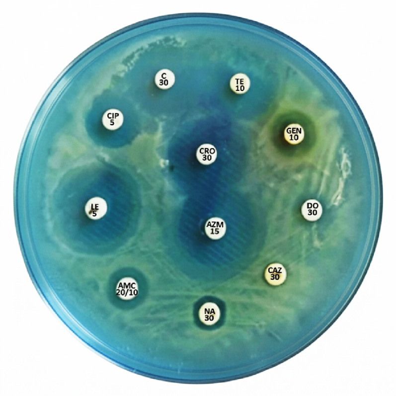 Figure 6
