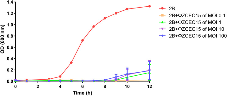 Figure 10