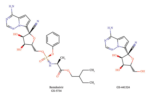 FIGURE 1