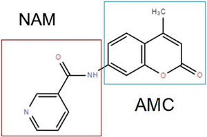 SCHEME 3