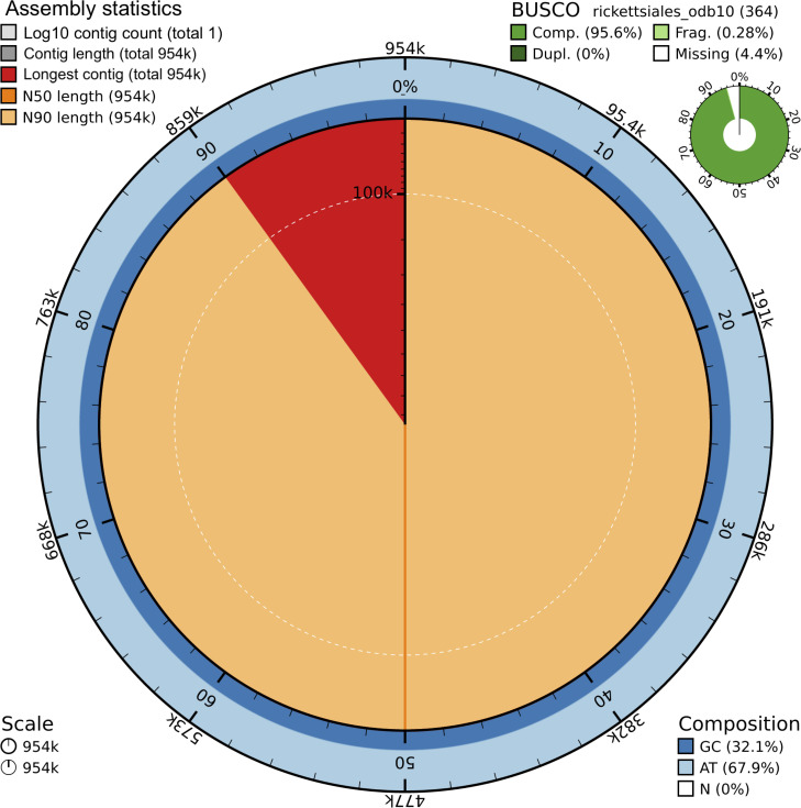 Fig 2