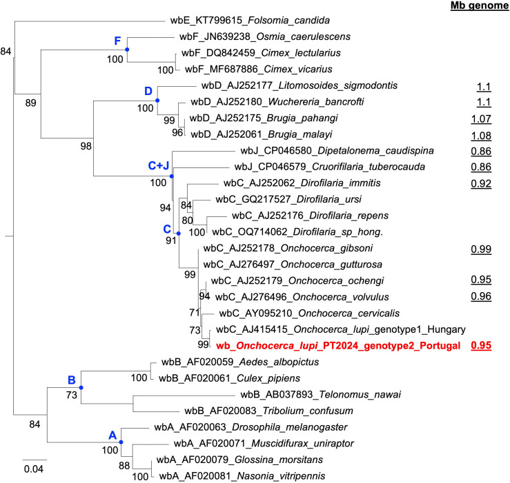 Fig 3