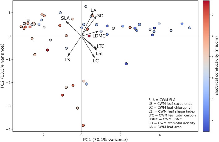 FIGURE 6