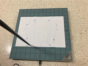 FIGURE 1