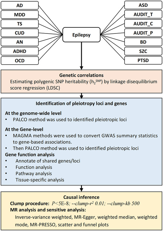 FIGURE 1