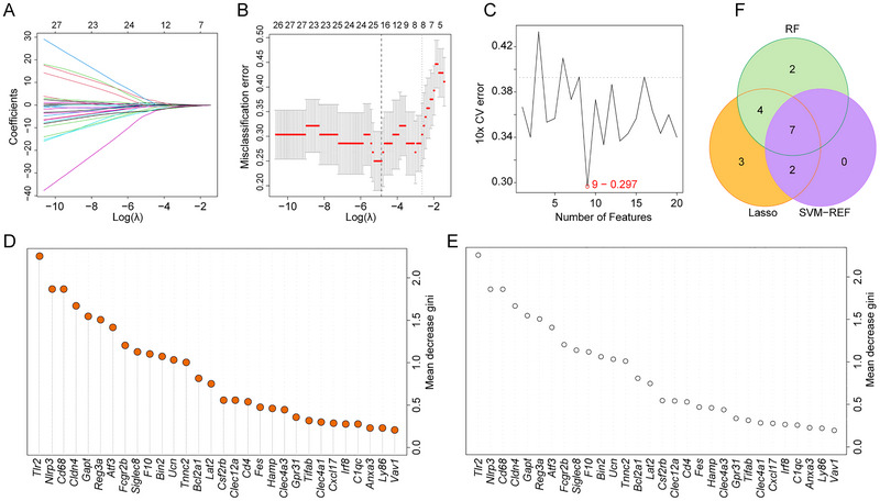 FIGURE 4