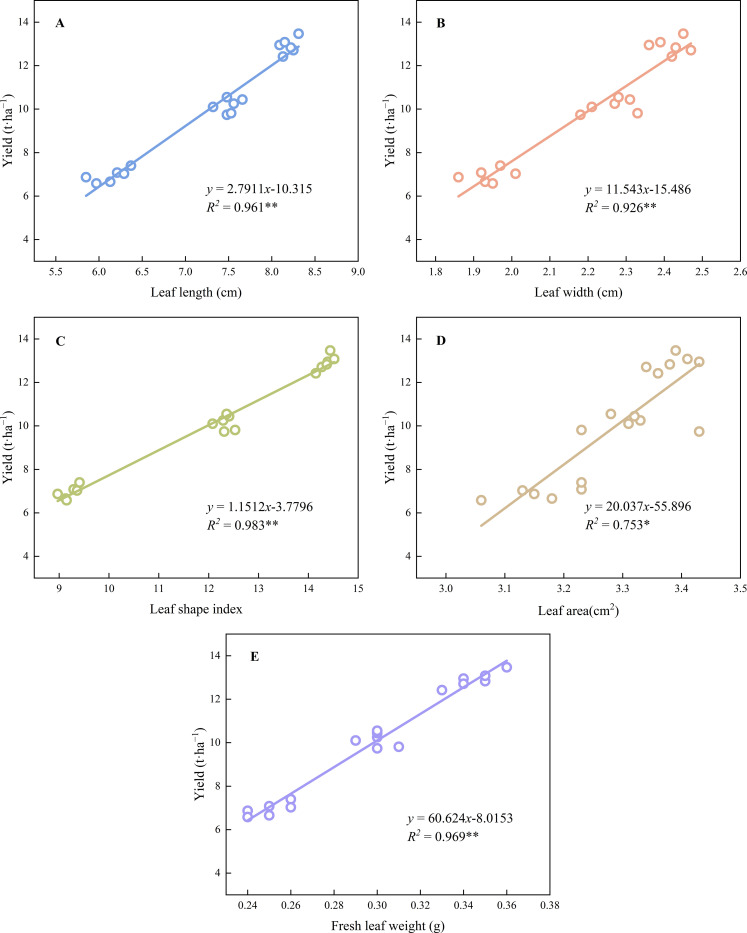 Figure 5