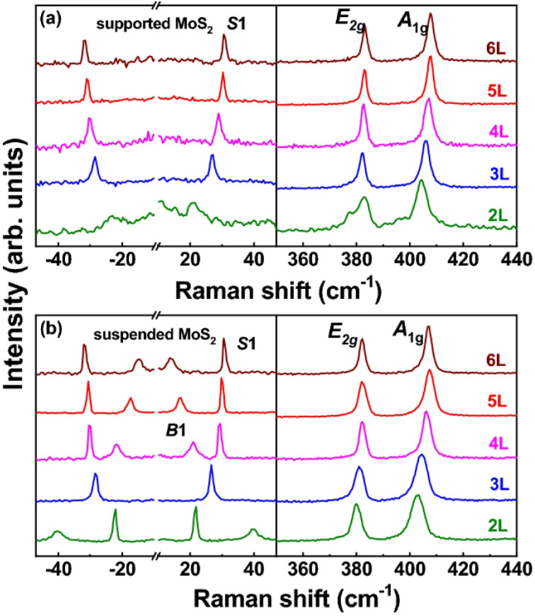 Fig. 11