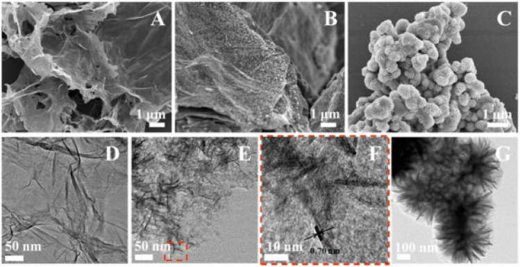 Fig. 22