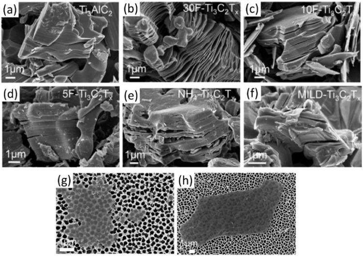 Fig. 24