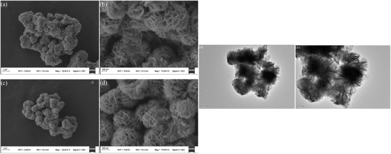 Fig. 25