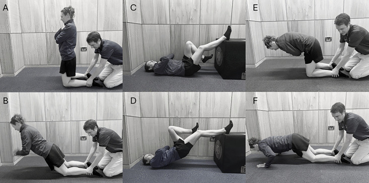 Fig 2