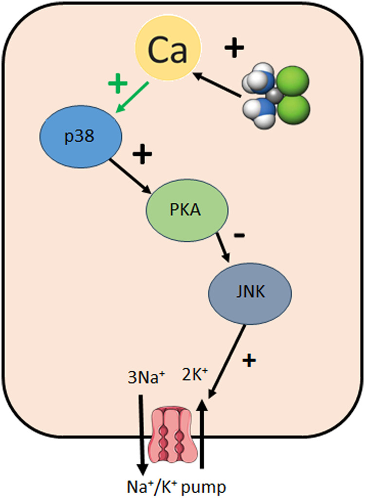 Fig 7