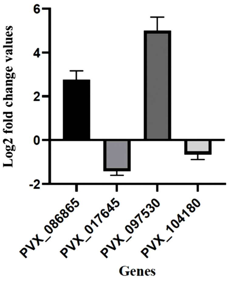 Fig 3