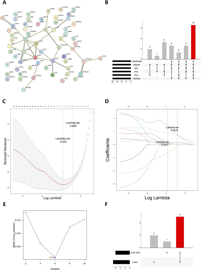 FIGURE 3